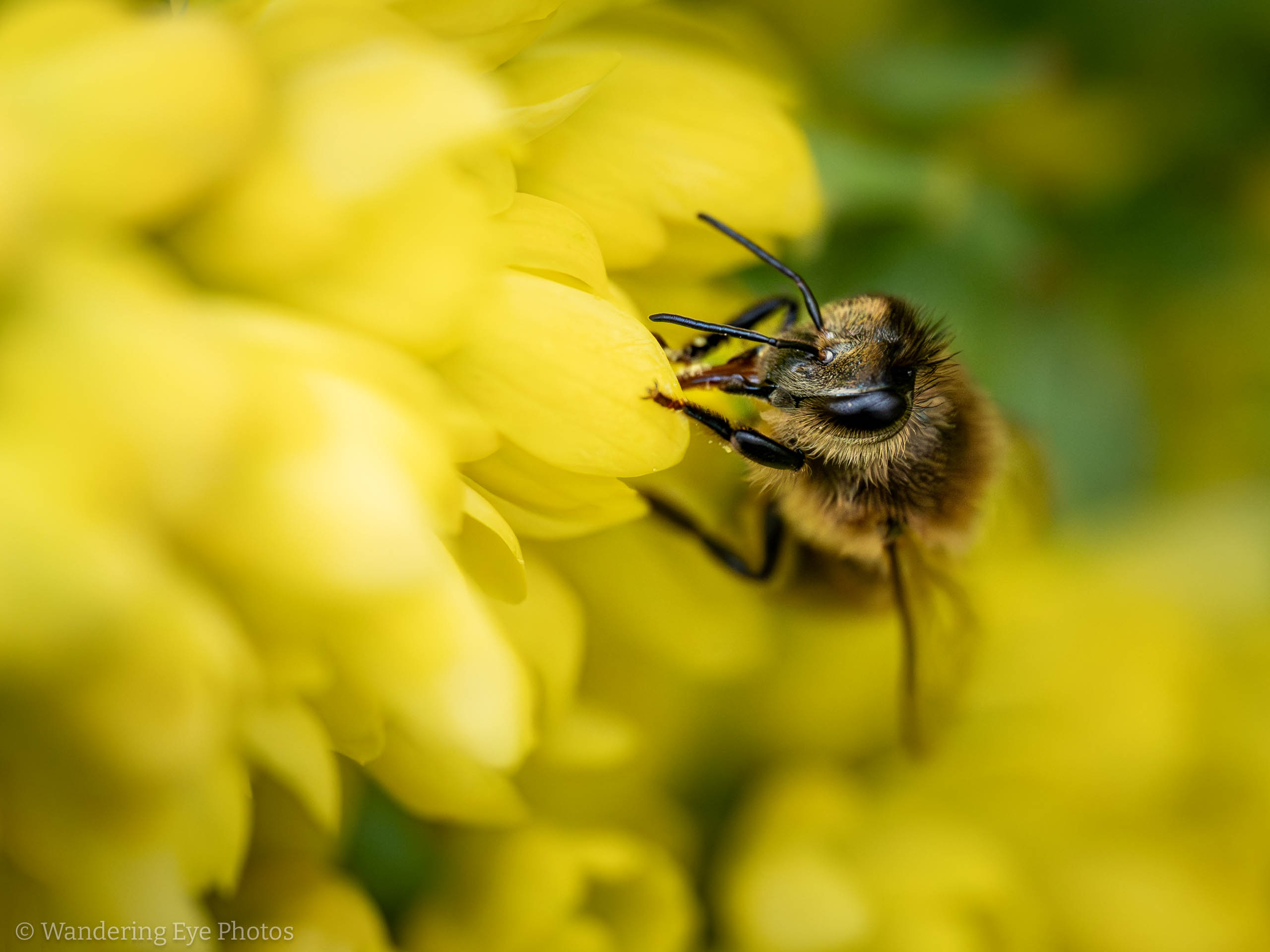 11.09 13.34.58   PB090282